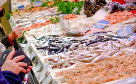 Ngành thủy sản châu Âu ít bị ảnh hưởng dù Mỹ áp thuế nhập khẩu