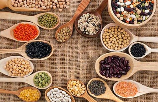 Olam tận dụng cơ hội tăng xuất khẩu nông sản Việt Nam sang châu Á