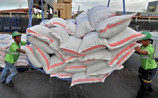 Philippines trở thành nước nhập khẩu gạo nhiều nhất thế giới