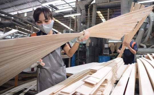 Sau Hàn Quốc, đến lượt Hoa Kỳ khởi xướng điều tra gỗ dán của Việt Nam