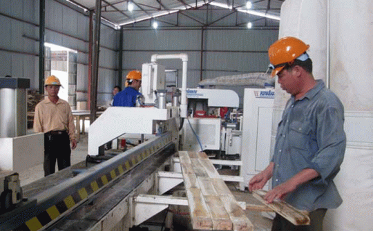 Thủ tướng yêu cầu xây dựng hệ thống cấp phép FLEGT điện tử