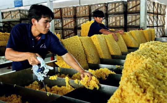 Xuất khẩu cao su sang các thị trường lớn đều tăng trưởng khá