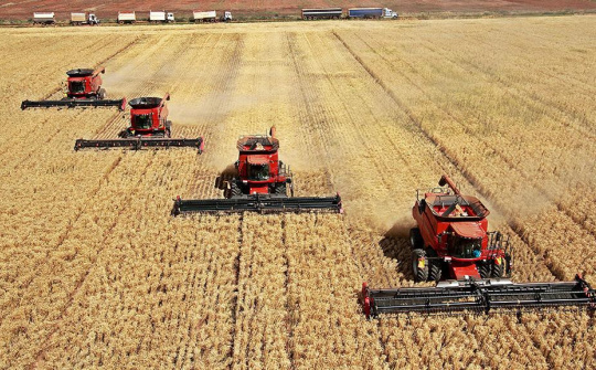 Giá các loại nông sản giảm nhẹ trước khi thị trường nghỉ lễ