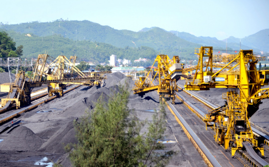 TKV: Doanh thu tiêu thụ than đạt hơn 6 nghìn tỷ đồng trong tháng 10