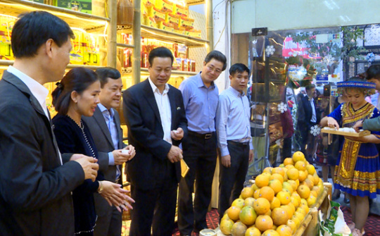 Cam sành Hà Giang "ra mắt" người dân Thủ đô
