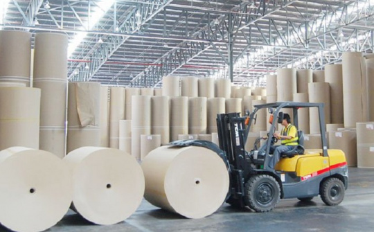 Ngành Giấy, cơ hội nào cho phát triển ?