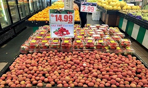 Trái cây Việt Nam chinh phục thị trường khó tính