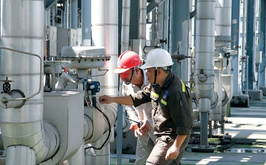 Vượt qua nỗi lo lỗ lũy kế, doanh nghiệp Đài Loan hợp tác cùng Xơ sợi Đình Vũ vận hành toàn bộ Nhà máy