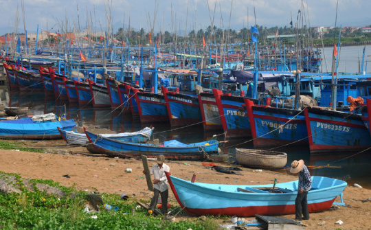 Cho vay đóng tàu đánh bắt xa bờ: Nợ xấu, nợ quá hạn gần 4 nghìn tỷ đồng, chiếm gần 40%