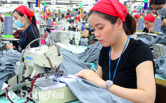 6 nghị định có hiệu lực từ ngày 1/1/2020