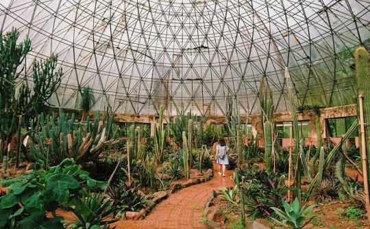 Những điểm du lịch lý tưởng ngày Tết Dương lịch