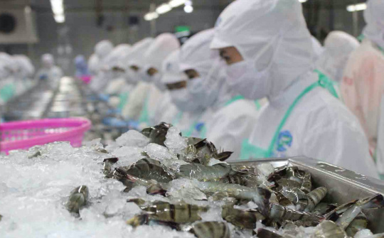 Bước qua "bão" phòng vệ thương mại 2019, Bộ Công Thương cảnh báo doanh nghiệp 2 vấn đề trong năm 2020