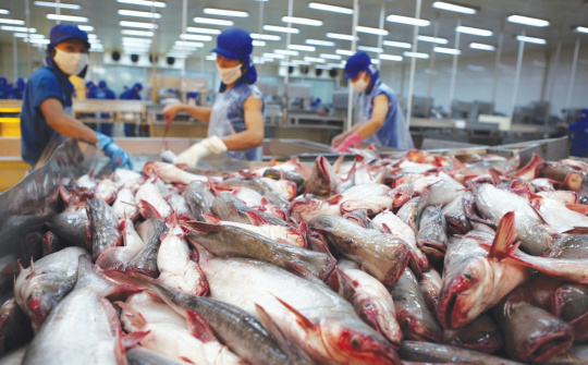 Vững vàng trước "sóng" phòng vệ