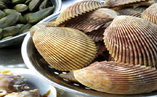 Xuất khẩu nhuyễn thể hai mảnh vỏ sang EU tăng trưởng mạnh