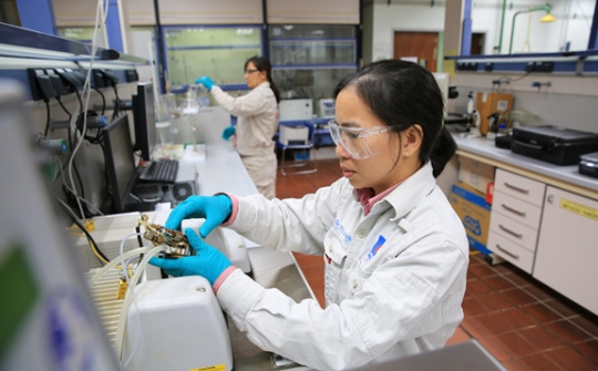 Nữ kỹ sư lọc dầu và niềm đam mê công việc