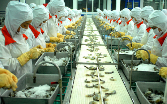 Tôm Việt Nam xuất sang Hàn Quốc dự kiến tăng gần 30% trong năm 2019