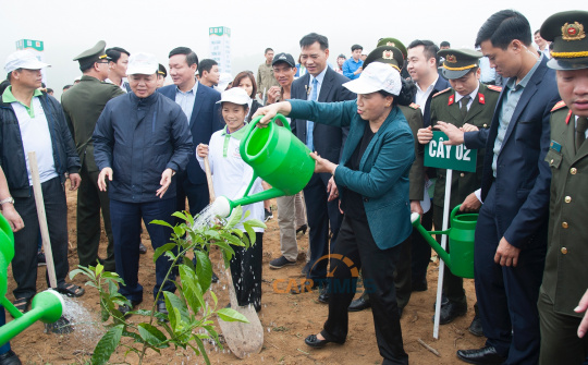 Toyota Việt Nam đồng hành cùng Lễ phát động Tết trồng cây Xuân Kỷ Hợi 2019