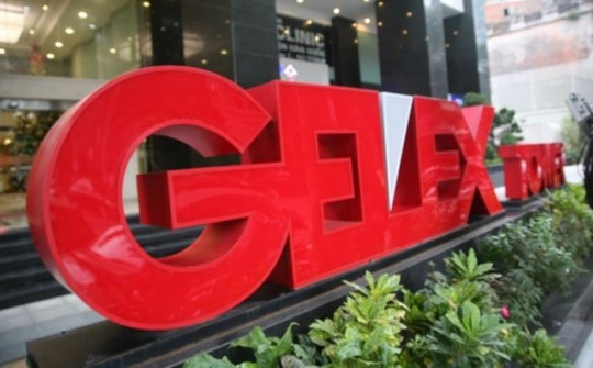 GELEX mua thành công hơn 3,6 triệu cổ phần của Chế tạo Điện Cơ Hà Nội