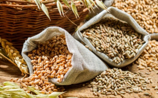 Thị trường nông sản tuần qua khá ảm đạm