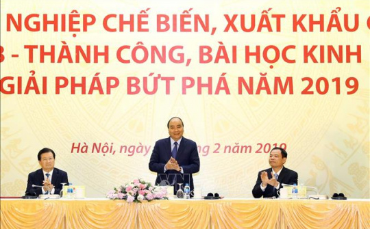 Thủ tướng: Muốn có rừng phải dựa vào người dân và doanh nghiệp