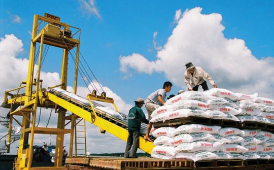 Phân bón DAP kích thước không đồng đều không được phân loại như “dạng viên”
