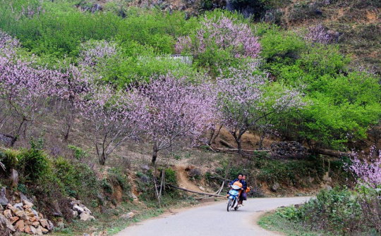 5 món đồ công nghệ nhất định phải có để du Xuân