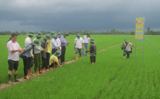 Nhà nông sẽ trở thành chuyên gia trên đồng ruộng