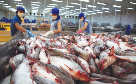 Cơ hội rất lớn để hàng Việt xuất khẩu sang thị trường châu Mỹ