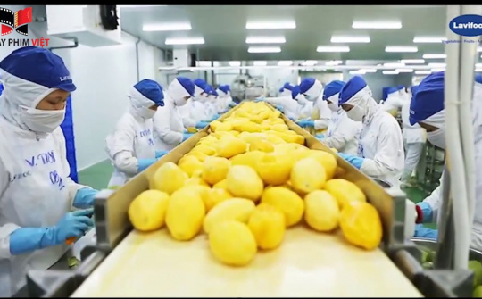 Lavifood sẽ đầu tư nhà máy chế biến rau quả 100.000 tấn/năm tại Hải Phòng
