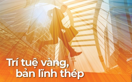 Trí tuệ vàng, bản lĩnh thép