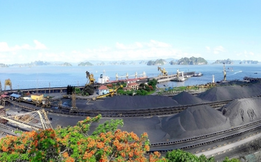 Tuyển than Cửa Ông tăng cường công tác pha trộn than nhập khẩu