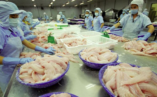 Đầu năm xuất khẩu cá tra khá thuận lợi