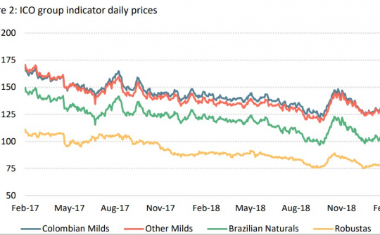ICO: Báo cáo tổng hợp thị trường cà phê thế giới tháng 2/2019