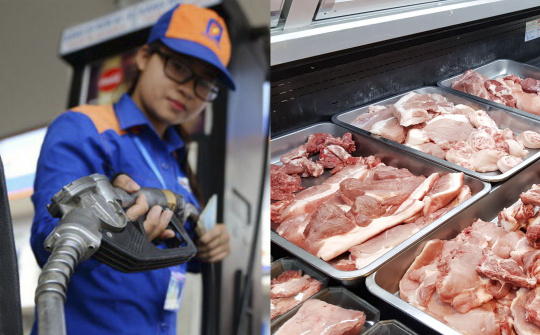 Tổ Điều hành thị trường trong nước tháng 3: Đảm bảo nguồn cung xăng dầu và tiêu thụ thịt lợn