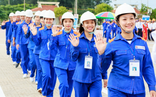 Những bông hồng màu xanh