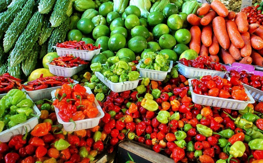 Xuất khẩu nông sản tìm đường tăng tốc