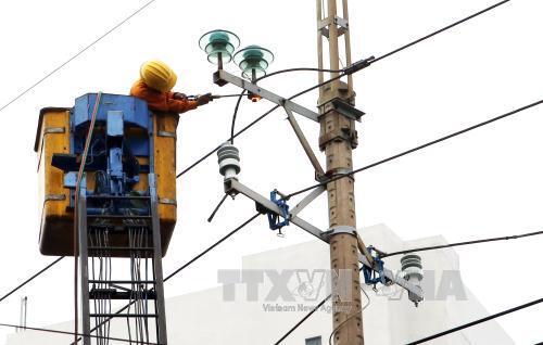 PC Bình Định đầu tư hơn 160 tỷ đồng nâng cấp, hoàn thiện lưới điện