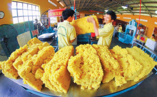 Xuất khẩu cao su tăng trưởng khả quan trong 3 tháng đầu năm