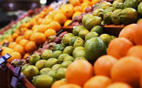 Ứng dụng công nghệ sấy vi sóng trong bảo quản, chế biến nông sản