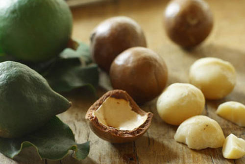 Lâm Đồng xuất khẩu hạt mắcca sang Hàn Quốc và Singapore