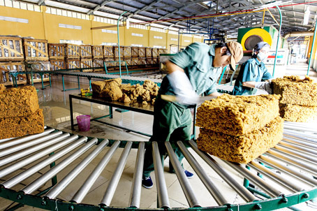 Xuất khẩu cao su tăng mạnh so với cùng kỳ năm trước