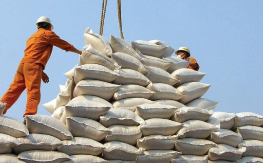 30 năm xuất khẩu gạo và vai trò ổn định thị trường của Chính phủ