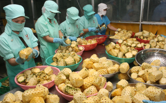 Quý I/2019, giá trị xuất khẩu hàng nông sản giảm mạnh