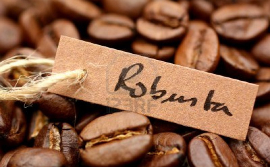 Cà phê Robusta Việt Nam đổ bộ vào thị trường Nhật Bản