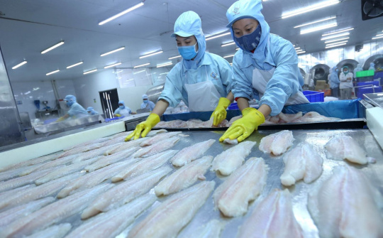 Tháng 3/2019, Xuất khẩu cá tra sang Anh tăng gần 70%