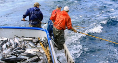 20 tỷ thuế quan của EU có thể đánh vào cá ngừ albacore Mỹ