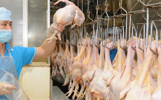 CP sẽ xuất khẩu thịt gia cầm đã qua chế biến