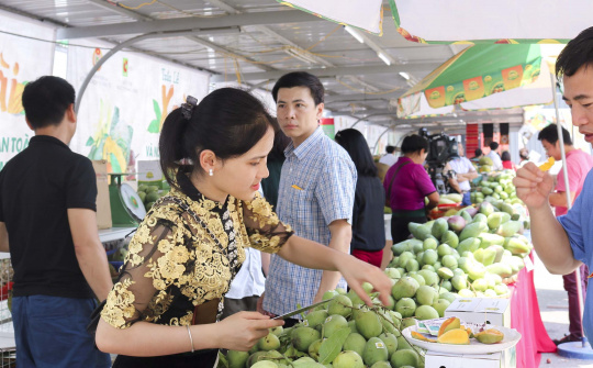 Sản lượng tiêu thụ nông sản Sơn La tăng 20 lần tại hệ thống Big C