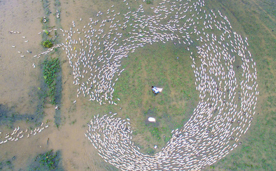 Miền Tây đẹp ngút ngàn mùa nước nổi