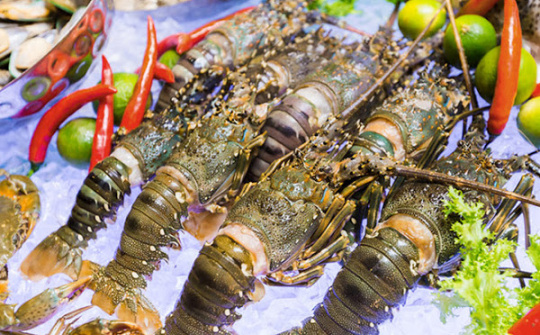 Trung Quốc miễn thuế nhập khẩu cho 33 mặt hàng thủy sản Việt Nam